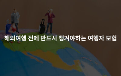 해외여행 전에 반드시 챙겨야하는 여행자 보험