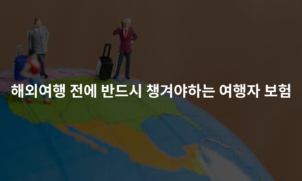 해외여행 전에 반드시 챙겨야하는 여행자 보험