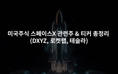 미국주식 스페이스X 관련주 & 티커 총정리 (DXYZ, 로켓랩, 테슬라)