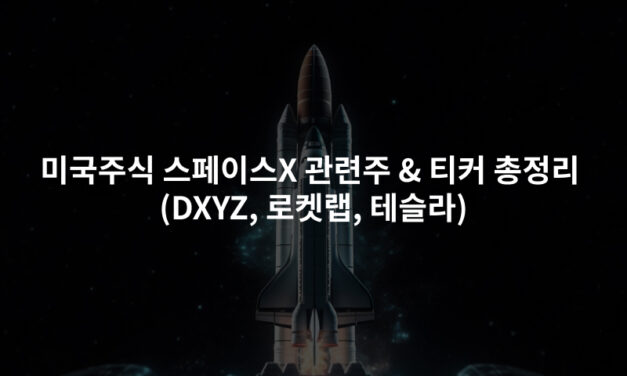 미국주식 스페이스X 관련주 & 티커 총정리 (DXYZ, 로켓랩, 테슬라)