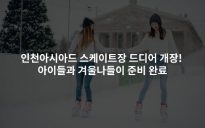 인천아시아드 스케이트장 드디어 개장! 아이들과 겨울나들이 준비 완료