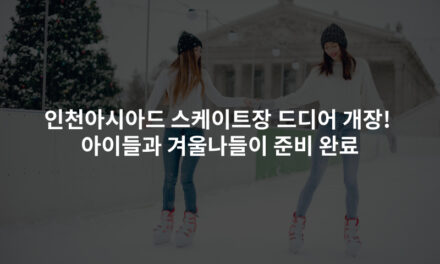 인천아시아드 스케이트장 드디어 개장! 아이들과 겨울나들이 준비 완료