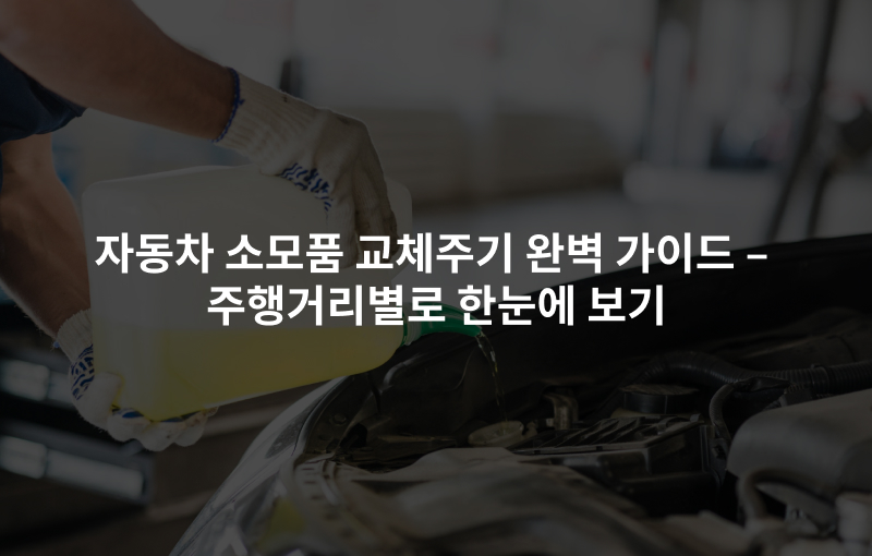 자동차 소모품 교체주기 완벽 가이드 – 주행거리별로 한눈에 보기