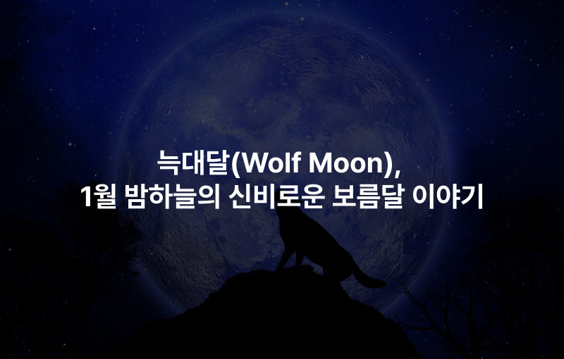 늑대달(Wolf Moon), 1월 밤하늘의 신비로운 보름달 이야기