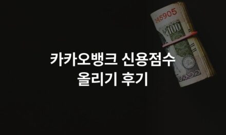 카카오뱅크 신용점수 올리기 후기