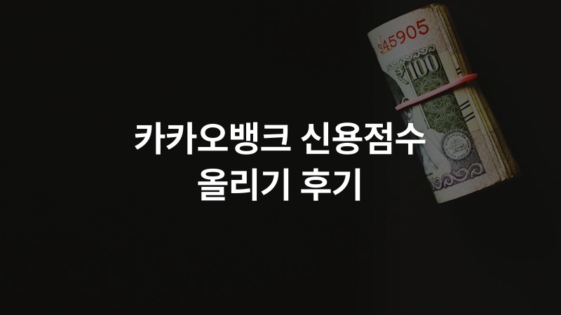 카카오뱅크 신용점수 올리기 후기