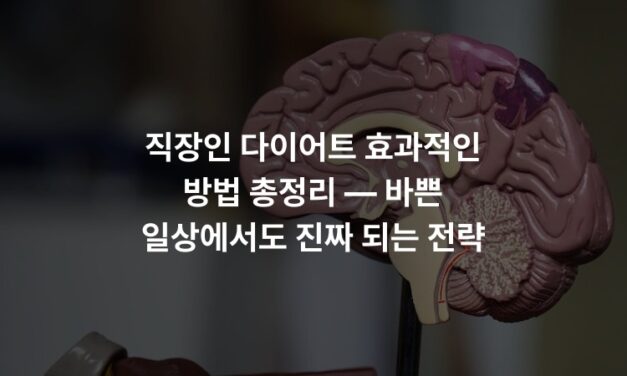 직장인 다이어트 효과적인 방법 총정리 — 바쁜 일상에서도 진짜 되는 전략