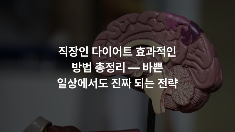 직장인 다이어트 효과적인 방법 총정리 — 바쁜 일상에서도 진짜 되는 전략