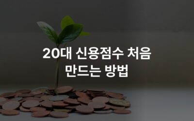 20대 신용점수 처음 만드는 방법