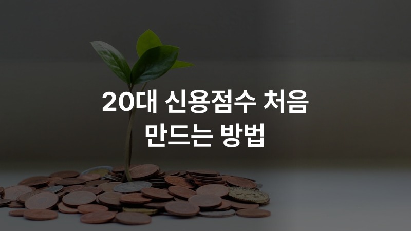 20대 신용점수 처음 만드는 방법