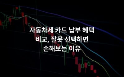 자동차세 카드 납부 혜택 비교, 잘못 선택하면 손해보는 이유