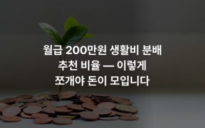 월급 200만원 생활비 분배 추천 비율 — 이렇게 쪼개야 돈이 모입니다