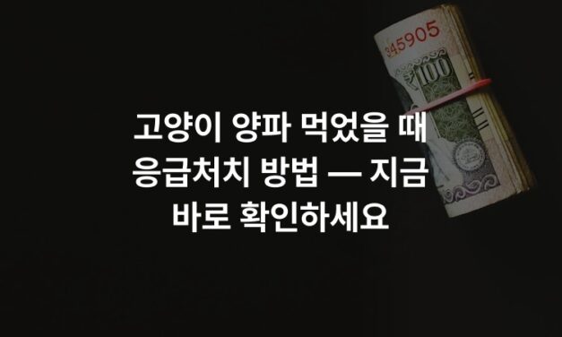 고양이 양파 먹었을 때 응급처치 방법 — 지금 바로 확인하세요