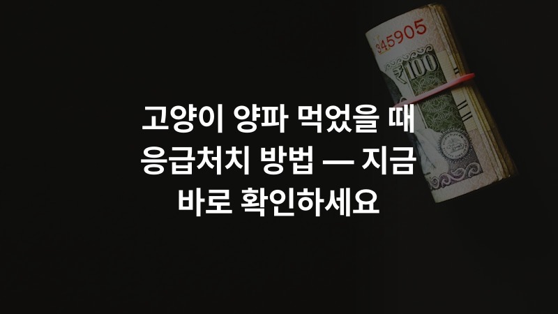 고양이 양파 먹었을 때 응급처치 방법 — 지금 바로 확인하세요
