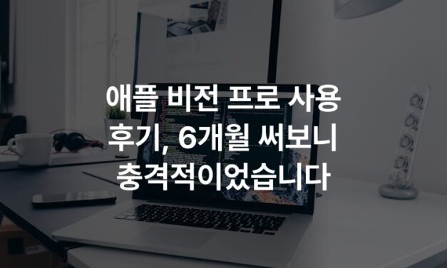 애플 비전 프로 사용 후기, 6개월 써보니 충격적이었습니다