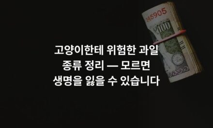 고양이한테 위험한 과일 종류 정리 — 모르면 생명을 잃을 수 있습니다