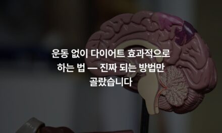 운동 없이 다이어트 효과적으로 하는 법 — 진짜 되는 방법만 골랐습니다