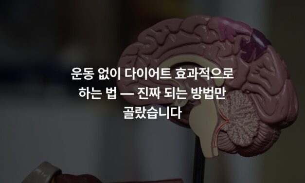 운동 없이 다이어트 효과적으로 하는 법 — 진짜 되는 방법만 골랐습니다