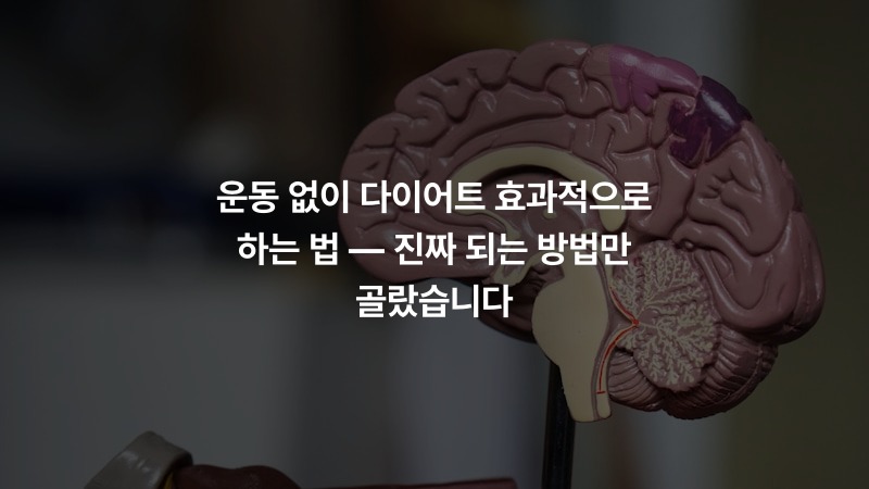 운동 없이 다이어트 효과적으로 하는 법 — 진짜 되는 방법만 골랐습니다