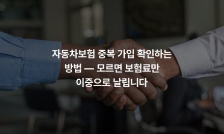 자동차보험 중복 가입 확인하는 방법 — 모르면 보험료만 이중으로 날립니다