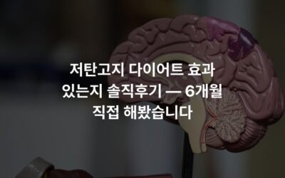 저탄고지 다이어트 효과 있는지 솔직후기 — 6개월 직접 해봤습니다