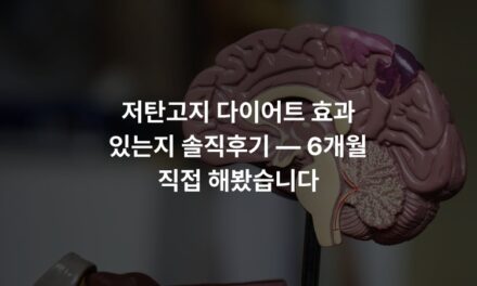 저탄고지 다이어트 효과 있는지 솔직후기 — 6개월 직접 해봤습니다