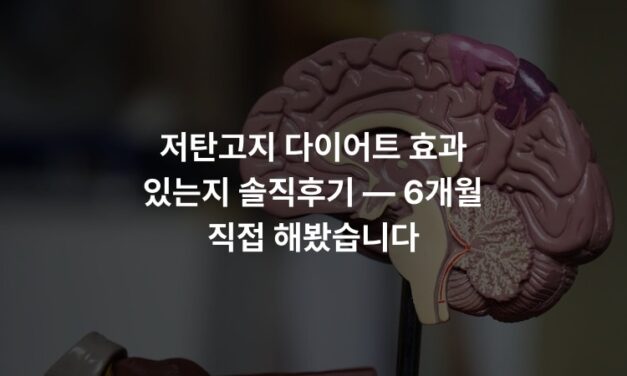 저탄고지 다이어트 효과 있는지 솔직후기 — 6개월 직접 해봤습니다