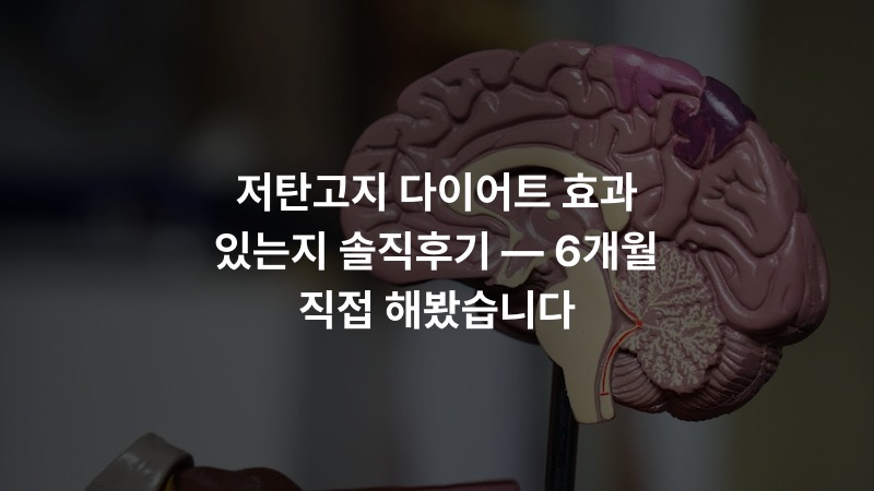 저탄고지 다이어트 효과 있는지 솔직후기 — 6개월 직접 해봤습니다