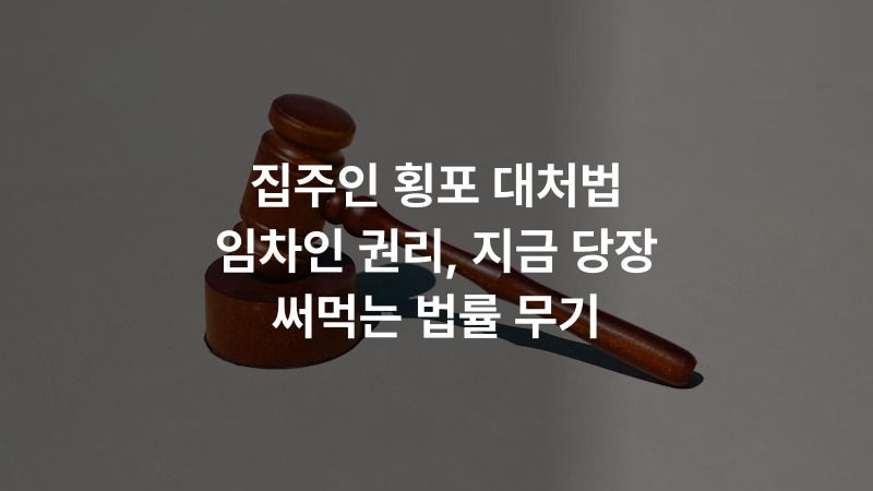 집주인 횡포 대처법 임차인 권리, 지금 당장 써먹는 법률 무기 – 법률 정보 썸네일