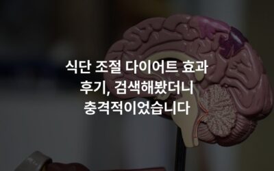 식단 조절 다이어트 효과 후기, 검색해봤더니 충격적이었습니다