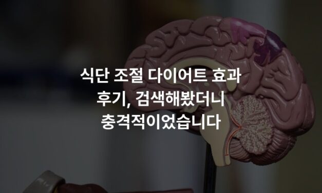 식단 조절 다이어트 효과 후기, 검색해봤더니 충격적이었습니다