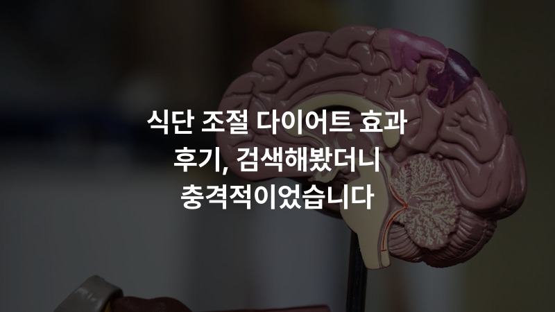 식단 조절 다이어트 효과 후기, 검색해봤더니 충격적이었습니다