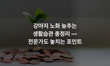 강아지 노화 늦추는 생활습관 총정리 — 전문가도 놓치는 포인트