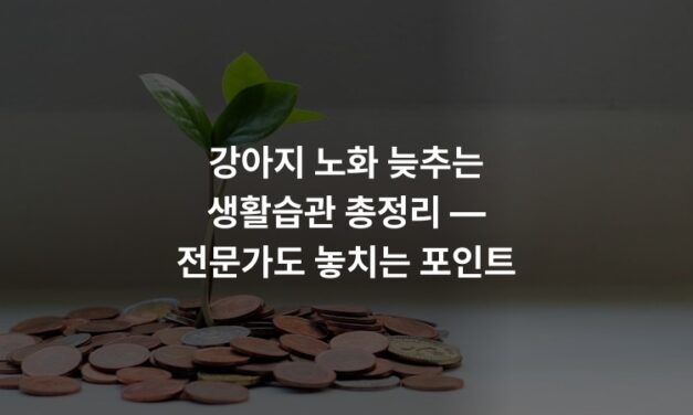 강아지 노화 늦추는 생활습관 총정리 — 전문가도 놓치는 포인트