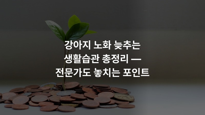 강아지 노화 늦추는 생활습관 총정리 — 전문가도 놓치는 포인트