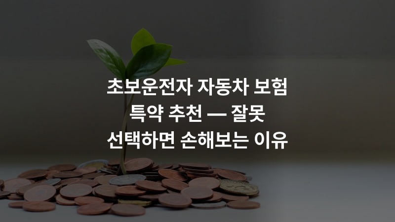 초보운전자 자동차 보험 특약 추천 — 잘못 선택하면 손해보는 이유