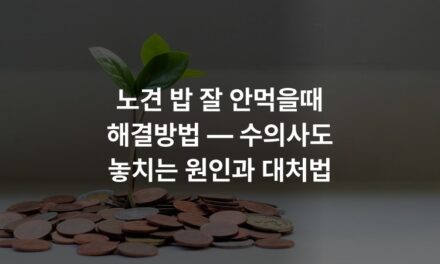 노견 밥 잘 안먹을때 해결방법 — 수의사도 놓치는 원인과 대처법