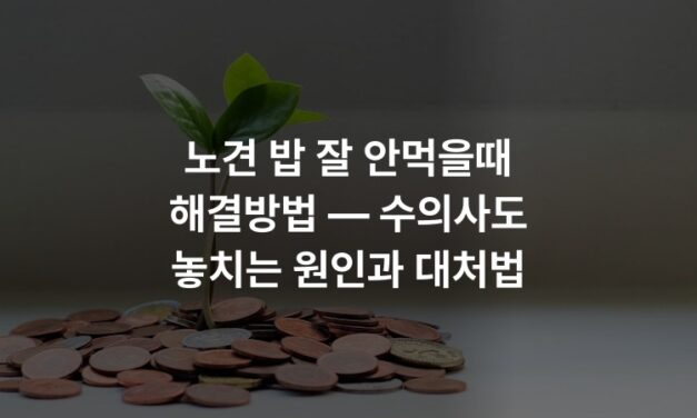 노견 밥 잘 안먹을때 해결방법 — 수의사도 놓치는 원인과 대처법