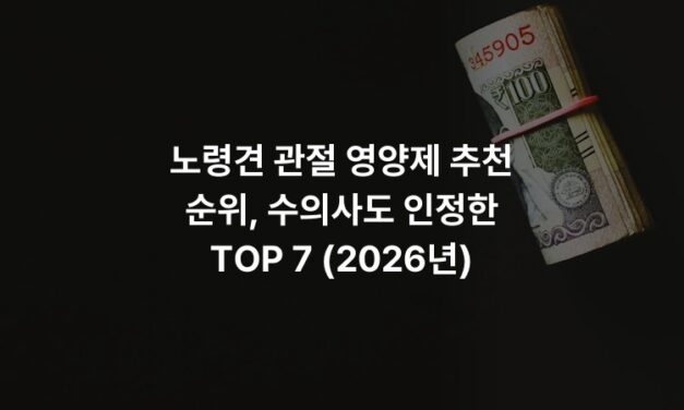 노령견 관절 영양제 추천 순위, 수의사도 인정한 TOP 7 (2026년)