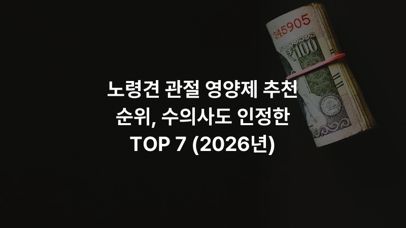 노령견 관절 영양제 추천 순위, 수의사도 인정한 TOP 7 (2026년)