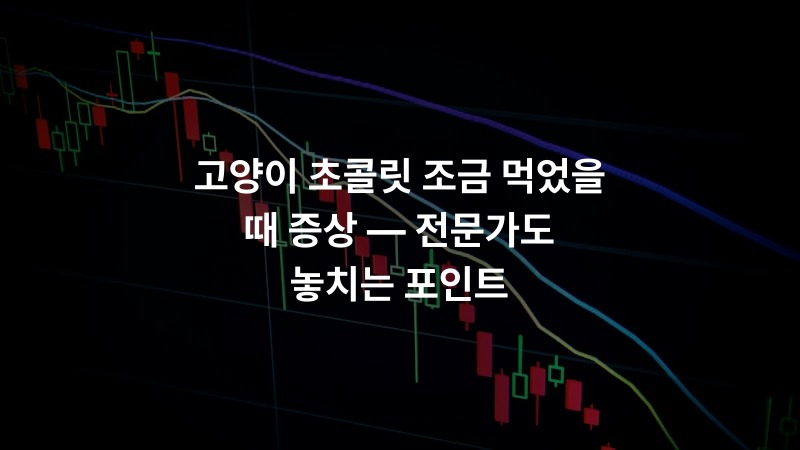 고양이 초콜릿 조금 먹었을 때 증상 — 전문가도 놓치는 포인트