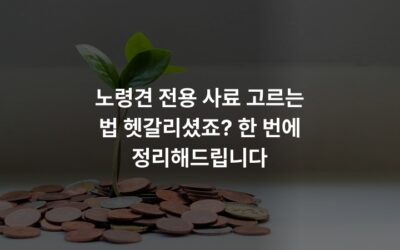 노령견 전용 사료 고르는 법 헷갈리셨죠? 한 번에 정리해드립니다