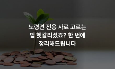 노령견 전용 사료 고르는 법 헷갈리셨죠? 한 번에 정리해드립니다