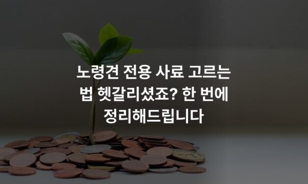 노령견 전용 사료 고르는 법 헷갈리셨죠? 한 번에 정리해드립니다