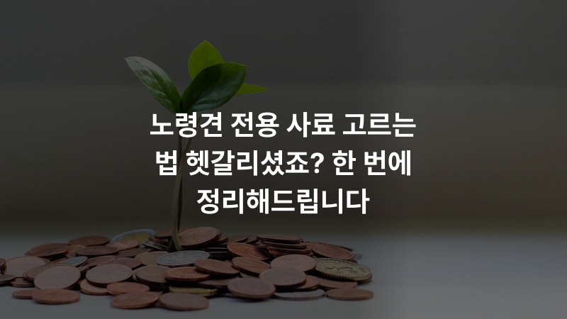 노령견 전용 사료 고르는 법 헷갈리셨죠? 한 번에 정리해드립니다