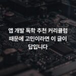 앱 개발 독학 추천 커리큘럼 때문에 고민이라면 이 글이 답입니다