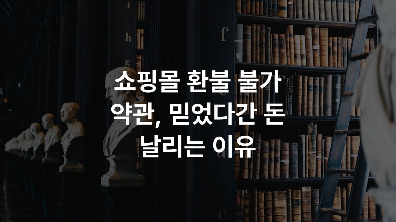 쇼핑몰 환불 불가 약관, 믿었다간 돈 날리는 이유