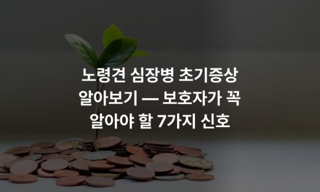 노령견 심장병 초기증상 알아보기 — 보호자가 꼭 알아야 할 7가지 신호