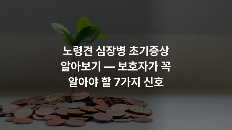 노령견 심장병 초기증상 알아보기 — 보호자가 꼭 알아야 할 7가지 신호