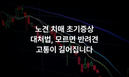 노견 치매 초기증상 대처법, 모르면 반려견 고통이 길어집니다